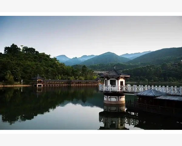 祛火润燥，清热解毒：中药方剂助您健康通行天下