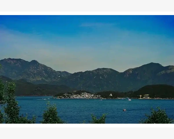 温阳驱寒贴：中国传统医学的瑰宝
