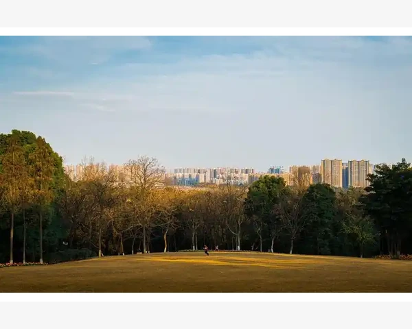 为什么脾胃疼痛？